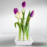 Keramik-Steckvase, 2er-Set Trendig, Platz sparend. Ungew&ouml;hnlicher Blickfang &ndash; mit nur wenigen Blumen.