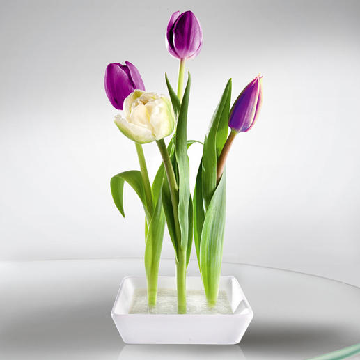 Keramik-Steckvase, 2er-Set Trendig, Platz sparend. Ungew&ouml;hnlicher Blickfang &ndash; mit nur wenigen Blumen.