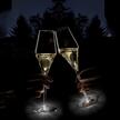 Leuchtende Sekt- und Champagnergläser, 2er-Set