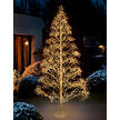 Dolden-Lichterbaum Dolden-Lichterbaum