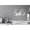 Gin-Glas 2er-Set