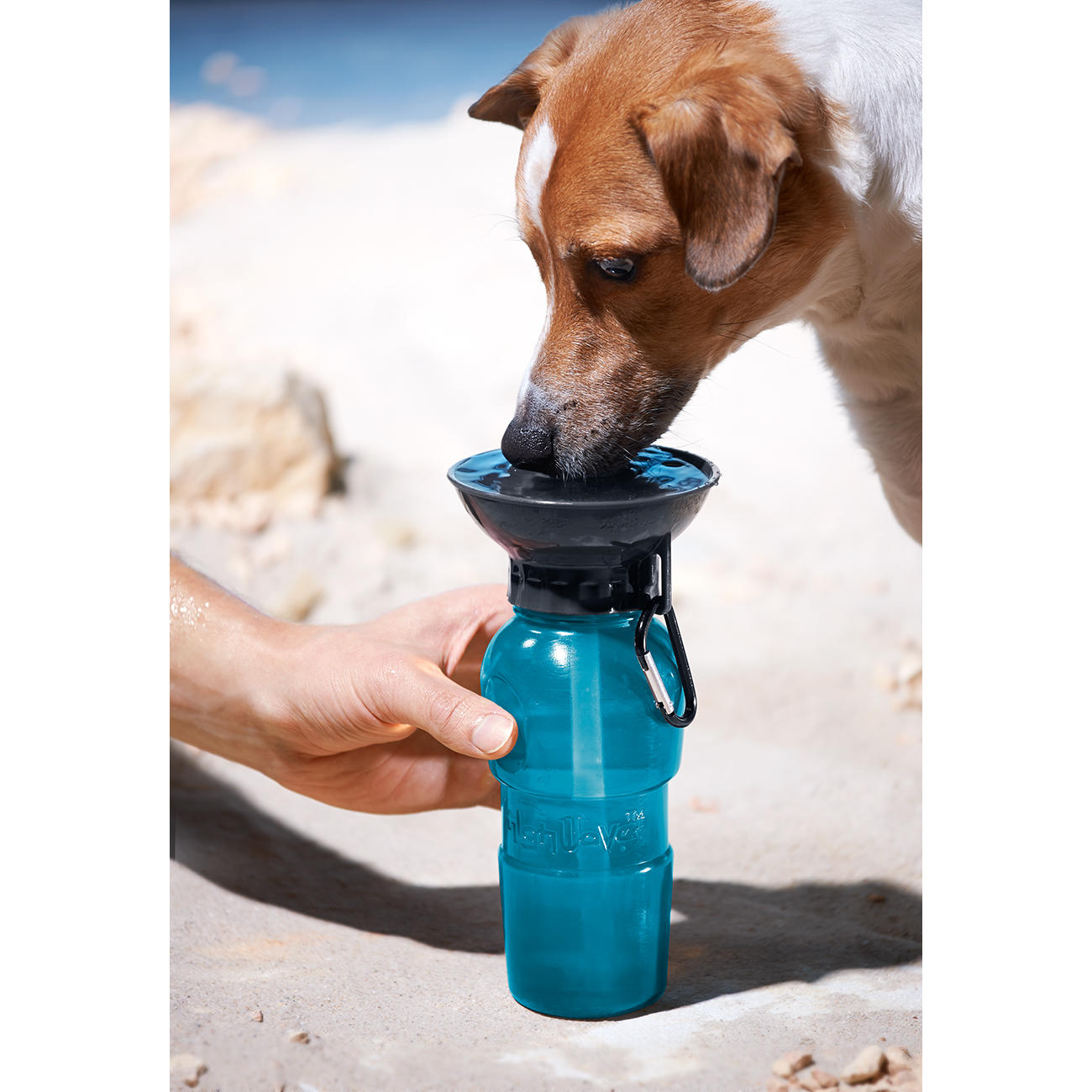 inkl Blau 100% Auslaufsicher Innovative 550 ML Hundetrinkflasche für unterwegs Trinkflasche Hund für unterwegs Premium Trinkflasche Hund Zahnbürste & Pfeife NEU 3er GESCHENKESET 