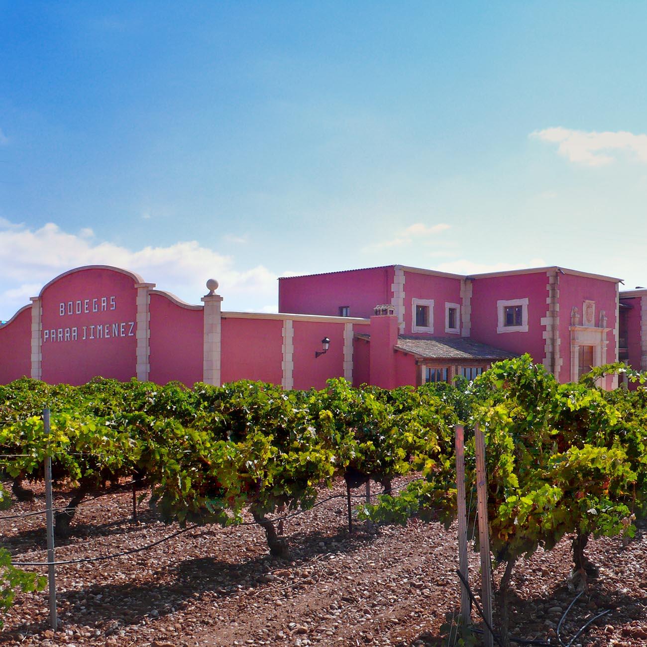 Parra Jiménez Chardonnay Barrica 2020, Parra Jiménez, La Mancha DO, Spanien