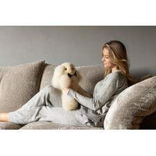 Viel weicher, edler als Kunstfell-Plüschtiere. Für Groß und Klein. Frau spielt mit einem kleinen, champagnerfarbenen Alpaka-Hasen auf einer Couch.