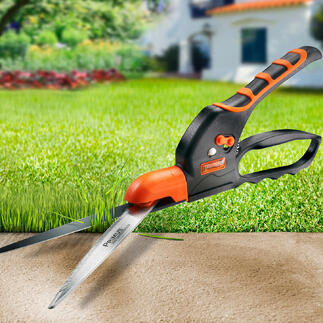 Zahnschneider mit orangefarbenem Griff schneidet Rasenrand.