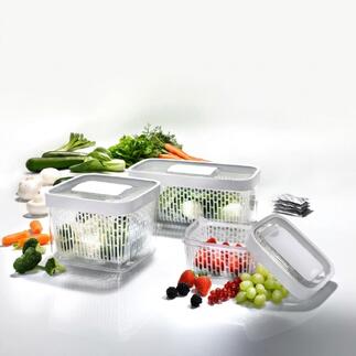 Drei Greensaver™ Frischeboxen mit Gemüse und Obst in verschiedenen Farben angereiht.
