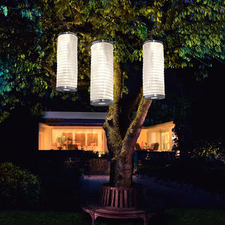 Dekorieren « Garten « Alle Kategorien « Villa P. Entdecken Sie neue ... Dekorieren « Garten « Alle Kategorien « Villa P. Entdecken Sie neue ...