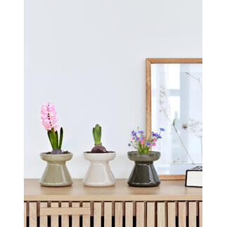 Drei dekorative Töpfe mit Blumen im modernen Design auf einem Regal.