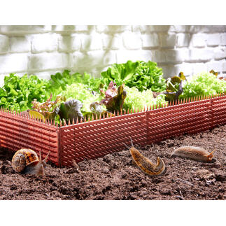 Schneckenschutz Zaun umgeben von frischem Gemüse im Garten.