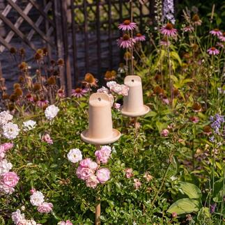 Drei 3-in-1 Insektenhäuser dekorativ im Garten zwischen Rosenblüten.