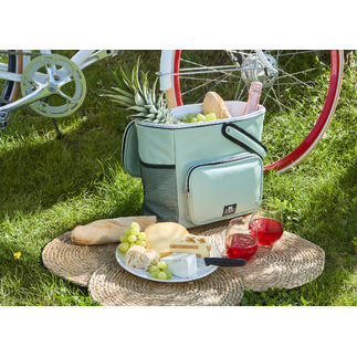 Komfortable Fahrradkorb-Kühltasche mit Lebensmitteln auf dem Rasen.