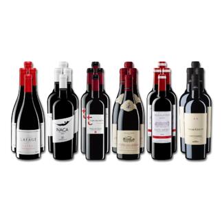 Weinsammlung - Die kleine Rotwein-Sammlung Frühjahr/Sommer 2024, 24 Flaschen Wenn Sie einen kleinen, gut gewählten Weinvorrat anlegen möchten, ist dies jetzt besonders leicht.