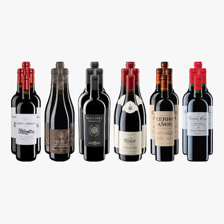 Weinsammlung - Die kleine Rotwein-Sammlung für anspruchsvolle Genießer Herbst 2024, 24 Flaschen Wenn Sie einen kleinen, gut gewählten Weinvorrat anlegen möchten, ist dies jetzt besonders leicht.