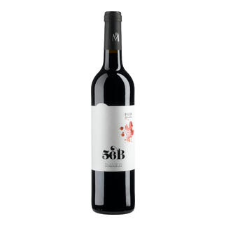 Flasche Paiva 56 Barricas Rotwein aus Extremadura, Spanien.
