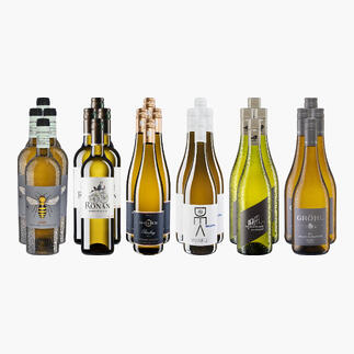 Sechs Flaschen der kleinen Weißwein-Sammlung für Sommer 2026.