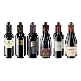 Sechs Flaschen der kleinen Rotwein-Sammlung für anspruchsvolle Genießer Sommer 2026.