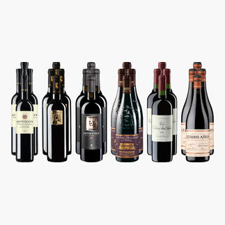 Sechs Flaschen der kleinen Rotwein-Sammlung für anspruchsvolle Genießer Sommer 2026.