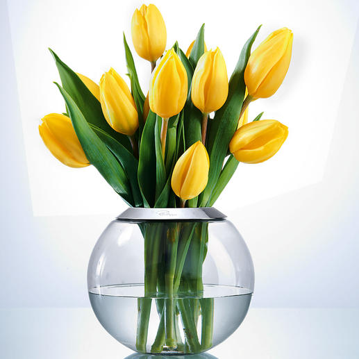 Im Passring mit 7,5 cm Ø Öffnung entfalten sich auch üppige Sträuße aus Frühlingstulpen, Wiesenblumen, Christrosen, … rundum perfekt. Im Passring mit 7,5 cm Ø Öffnung entfalten sich auch üppige Sträuße aus Frühlingstulpen, Wiesenblumen, Christrosen, … rundum perfekt.
