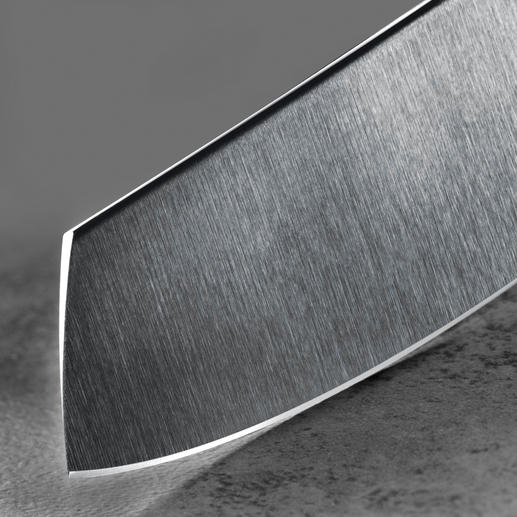 Die 60 HRC* harte Klinge ist zusätzlich mit Diamond-like Carbon (DLC) beschichtet. Deren niedrigen Reibwerte sorgen für eine gute Gleitfähigkeit. Die 60 HRC* harte Klinge ist zusätzlich mit Diamond-like Carbon (DLC) beschichtet. Deren niedrigen Reibwerte sorgen für eine gute Gleitfähigkeit.