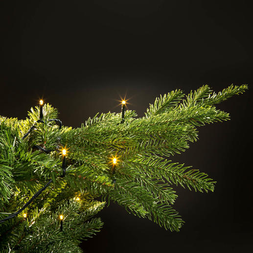 Inkl. vorinstallierter Lichterkette. Inkl. vorinstallierter Lichterkette.