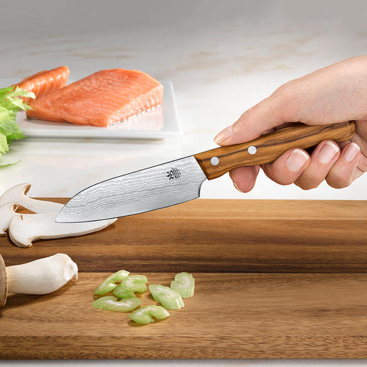 Damast-Messer Die Schärfe und Schnitthaltigkeit großer Damaszener-Messer – jetzt auch als Schäl- und Gemüsemesser.