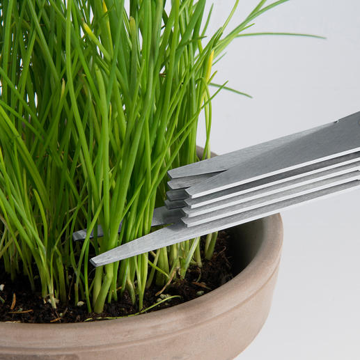 Einzelne Halme, Blättchen, ... schneiden Sie mit der verlängerten Spitze direkt aus Ihrem Kräutergarten. Einzelne Halme, Blättchen, ... schneiden Sie mit der verlängerten Spitze direkt aus Ihrem Kräutergarten.