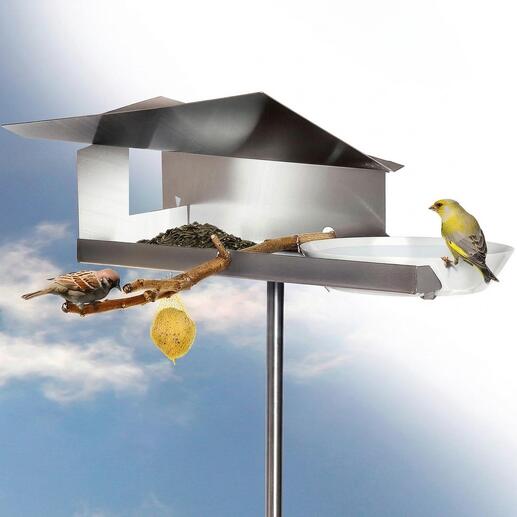Vogelhaus mit zwei Spatzen und einer Futterstation, auf einem Ast und Himmel