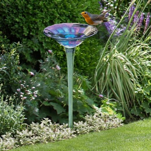 Regenbogenglas-Vogeltränke mit einem Vogel, der darauf sitzt.