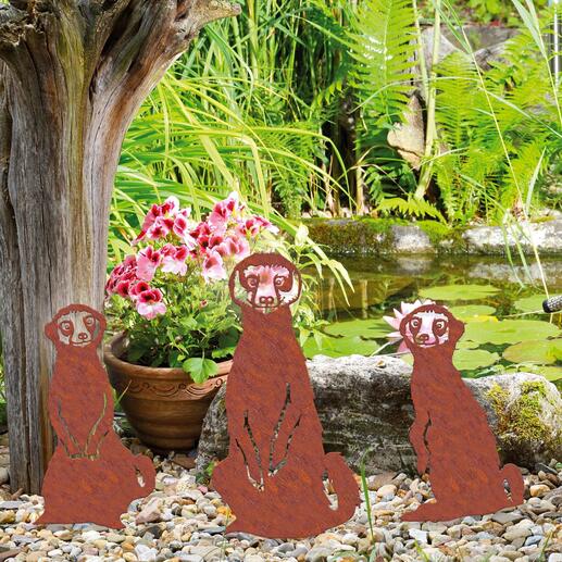 In Ihrem Garten und Beet – sowie in Ihren Kübeln und Pflanzgefäßen sorgt das kecke Erdmännchen-Trio stets für gute Laune.