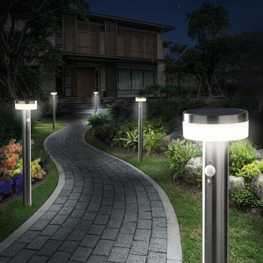 Intelligente Solar-Gartenleuchten entlang eines Weges in einem Garten bei Nacht.