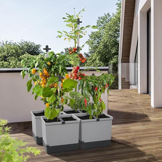 Pflanzturm Der optimale Platz für Kletterpflanzen – auf kleinstem Raum. Ideal für Balkon, Terrasse, Loggia, eine Nische im Garten, ...
