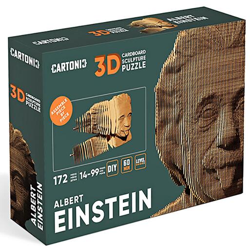 Einstein Einstein