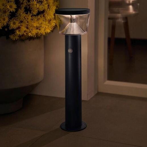 Solar-Bodenleuchte mit einem klaren Lampenschirm im Garten