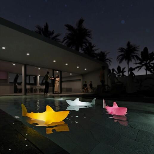 Bunte Hai-Leuchten schwimmen im Pool bei Nacht