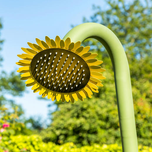 Der 30 cm Ø große Duschkopf ist ringsum mit leuchtend gelben Blütenblättern besetzt.