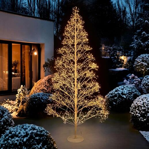 Dolden-Lichterbaum, 120 cm hoch, beleuchtet mit warmem Licht im Garten