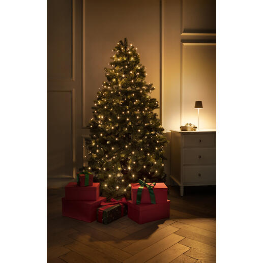 Beleuchteter Weihnachtsbaum mit Geschenken und warmem Licht in einem eleganten Raum.