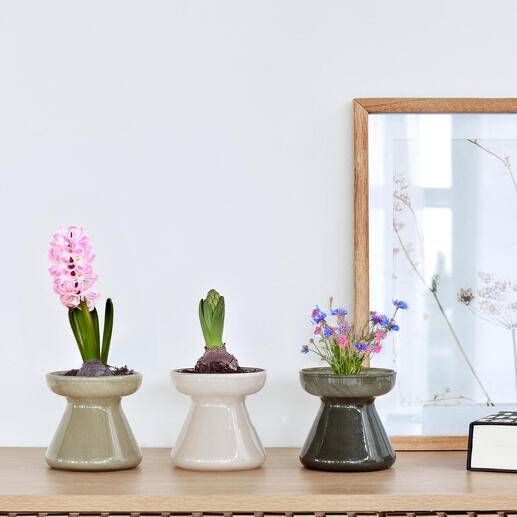 Drei dekorative Töpfe mit Blumen im modernen Design auf einem Regal.