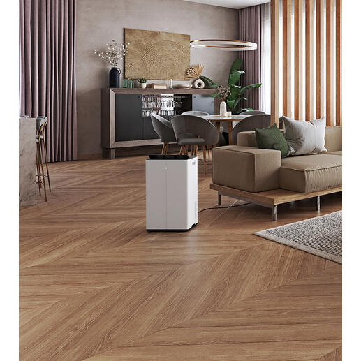 Lukas Pro in modernem Wohnraum mit Holzboden und Pflanzen.