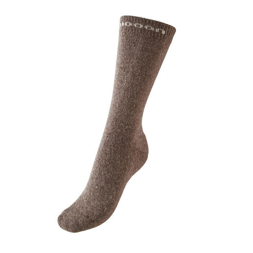 Braune Unisex-Socke in der Größe 35-37,5 an einem neutralen Hintergrund.
