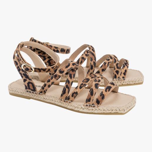 Paare von Riemchen-Sandalen im Leopardenmuster auf einem weißen Hintergrund.