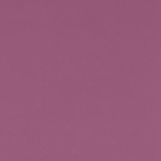 Violet Violet