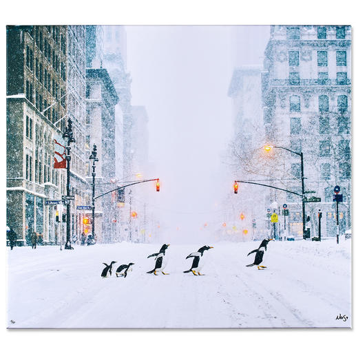 Robert Jahns – New York City Penguins Robert Jahns: Einer der populärsten Instagram-Stars. 50.000 Likes über Nacht: Pinguine in New York – jetzt als Leinwand-Edition exklusiv bei Pro-Idee.