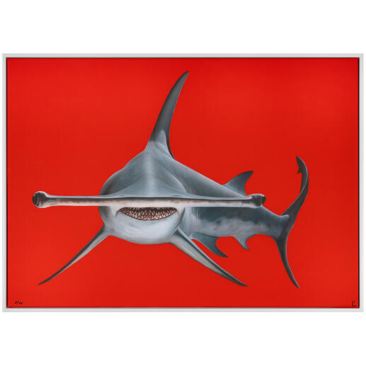 Lea Fricke – Hammerhead Shark Lea Frickes fotorealistische Hommage an die schützenswerten Meeresbewohner.  Nach erfolgreichem Debüt nun die dritte Edition des Ausnahme-Talents. Exklusiv im Pro-Idee Kunstformat. Maße: 124 x 88,5 cm.