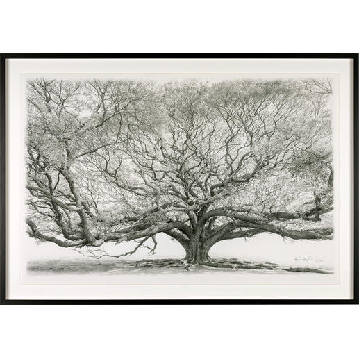 Koshi Takagi – Baum des Lebens Fotorealistische Bleistiftzeichnung. Mit über 1 Million handgemalten Strichen. Koshi Takagis neueste Edition „Baum des Lebens“. Exklusiv im Pro-Idee Kunstformat. Maße: gerahmt 135 x 95 cm