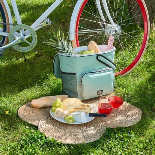 Komfortable Fahrradkorb-Kühltasche mit Lebensmitteln auf dem Rasen.