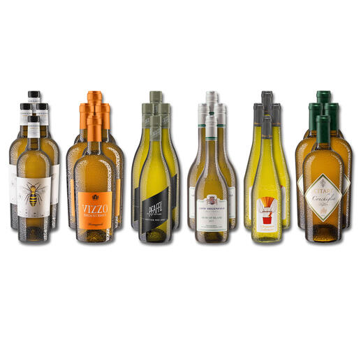 Weinsammlung - Die kleine Weißwein-Sammlung Frühjahr/Sommer 2022, 24 Flaschen Wenn Sie einen kleinen, gut gewählten Weinvorrat anlegen möchten, ist dies jetzt besonders leicht.