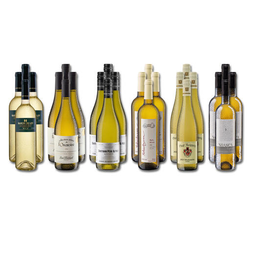 Weinsammlung - Die kleine Weißwein-Sammlung Sommer 2022, 24 Flaschen Wenn Sie einen kleinen, gut gewählten Weinvorrat anlegen möchten, ist dies jetzt besonders leicht.