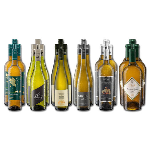 Weinsammlung - Die kleine Weißwein-Sammlung Hochsommer 2023, 24 Flaschen Wenn Sie einen kleinen, gut gewählten Weinvorrat anlegen möchten, ist dies jetzt besonders leicht.