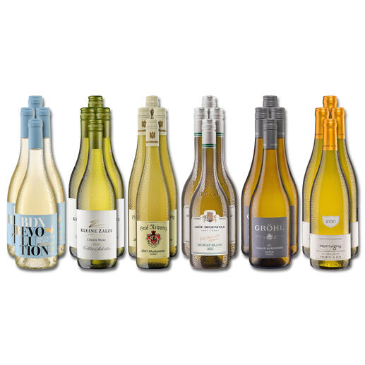 Weinsammlung - Die kleine Weißwein-Sammlung Herbst 2023, 24 Flaschen Wenn Sie einen kleinen, gut gewählten Weinvorrat anlegen möchten, ist dies jetzt besonders leicht.